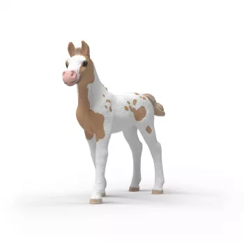 Schleich Horse Club Puledro da Collezione Rusty