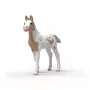 Schleich Horse Club Puledro da Collezione Rusty