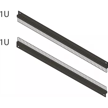 SCHROFF Pannello con spazzole 1U con 2 passacavi, nero RAL 9005 64230096
