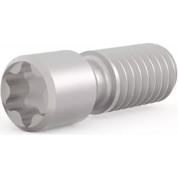 SCHROFF grano filettato M2,5 x 9 mm Torx T8, acciaio, 100 pezzi (21102980)
