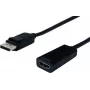 SECOMP STANDARD adattatore DisplayPort-HDMI, v1.2, connettore maschio DP su connettore femmina HDMI (S3204)