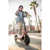 Segway Ninebot Monopattino elettrico D38E nero rosso