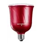 Sengled Pulse Master rosso