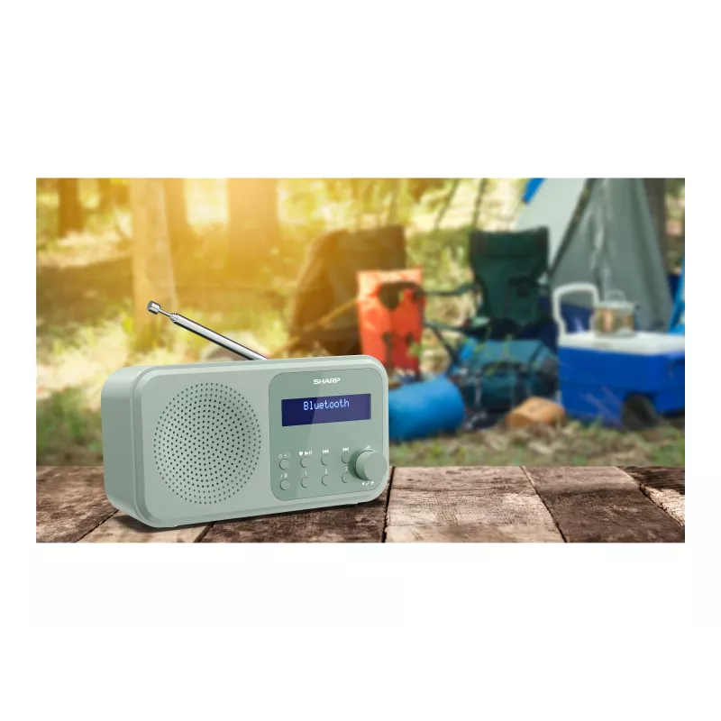 Sharp Tokyo DR-P420(GN) Radio portatile DAB+/FM, Bluetooth 5.0, Aquamarine Green