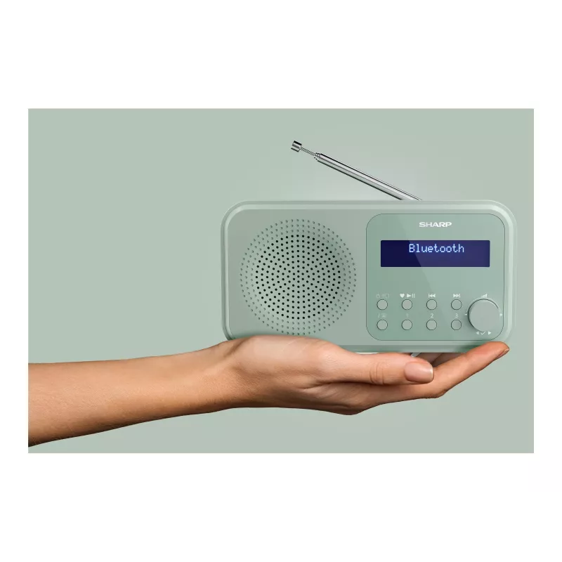 Sharp Tokyo DR-P420(GN) Radio portatile DAB+/FM, Bluetooth 5.0, Aquamarine Green