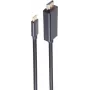 SHIVERPEAKS BASIC-S cavo USB-C a DisplayPort 1m 8K60Hz nero (BS10-61045)