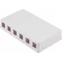 SHIVERPEAKS scatola a parete Keystone, 6-Port, bianco (BS08-10118)