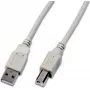 Wirewin Cavo USB 2.0 A-B 1,8 m grigio USB A-B MM 1.8 GR