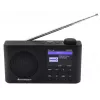Soundmaster IR6500SW radio digitale portatile Internet/DAB+/FM WLAN Bluetooth
