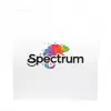 Spectrum PLA Premium filamento 3D 1,75 mm Silver Star 1 kg
