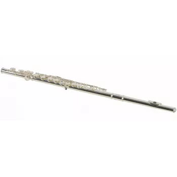 Stagg WS-FL211S flauto in C argentato con custodia rigida