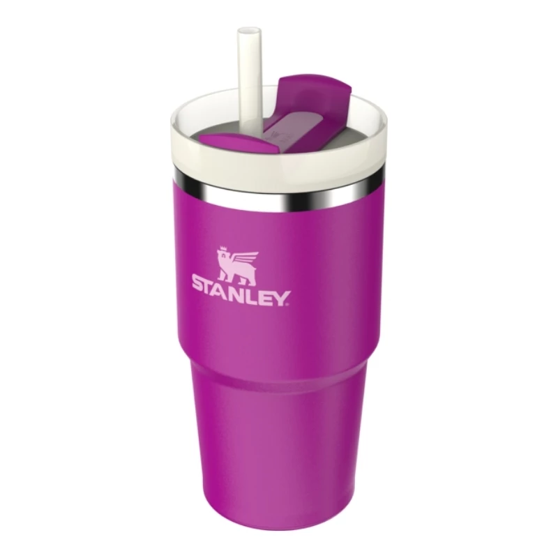 STANLEY The Quencher H2.O FlowState bicchiere con cannuccia 0,59L viola