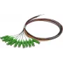 SYNERGY21 S215560 Set cavi patch in fibra ottica 2 m OS2 E-2000 (LSH) multicolore confezione da 12