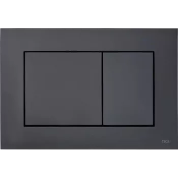 Placca di comando WC TECENOW nero opaco