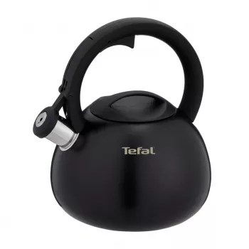 Tefal N4180410 Express Control bollitore in acciaio inox, 2,5 L, induzione, argento/nero