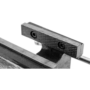 TOPEX morsa da fabbro 100 mm, base girevole, ghisa grigia