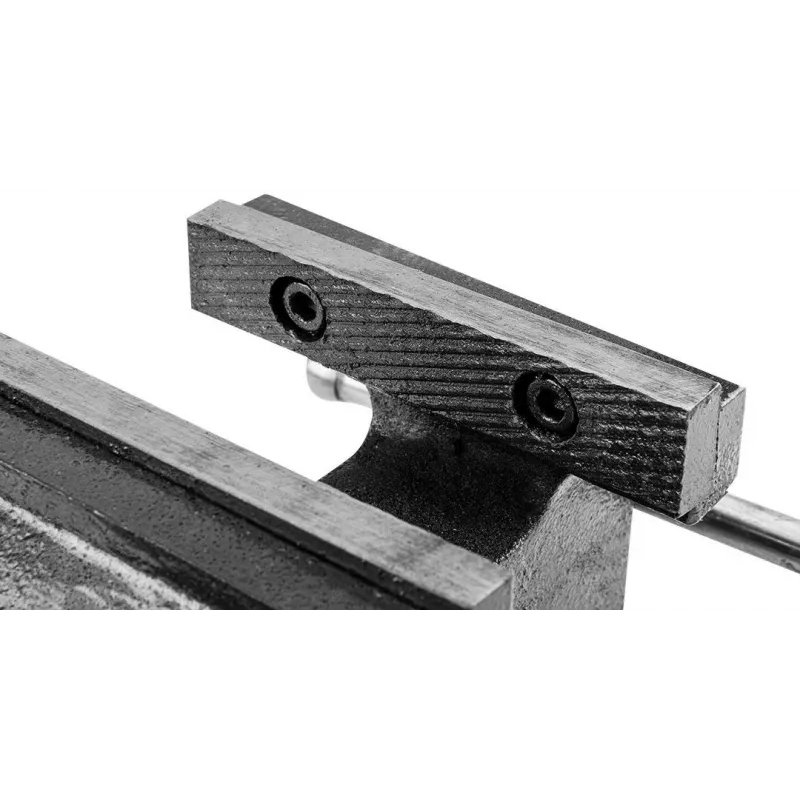 TOPEX morsa da fabbro 100 mm, base girevole, ghisa grigia