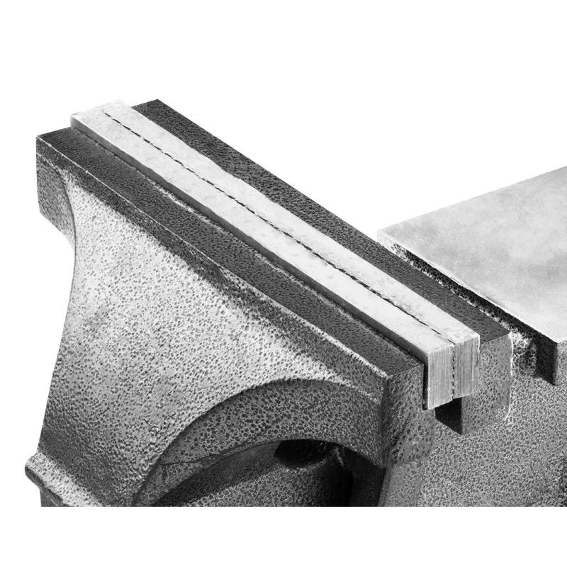 TOPEX Morsa girevole da fabbro 200 mm