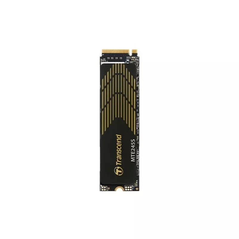 Transcend 250GB unità SSD interna M.2 2280 PCIe Gen4x4 NVMe 3D TLC DRAM-less