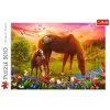 Puzzle 500 - Horses in the Meadow