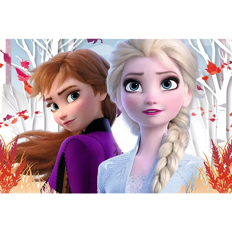 TREFL PUZZLE Puzzle 60 Il mondo magico di Anna ed Elsa