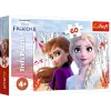 TREFL PUZZLE Puzzle 60 Il mondo magico di Anna ed Elsa