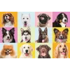 TREFL PUZZLE - 60 - Cuccioli dolci