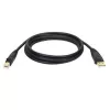 Tripp Eaton Tripp Lite Series cavo USB 2.0 A-B (M/M)