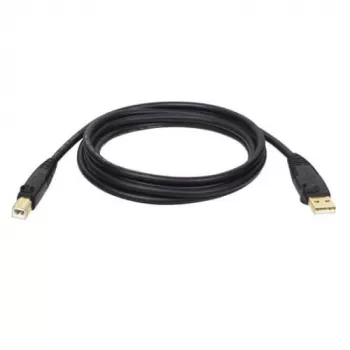 Tripp Eaton Tripp Lite Series cavo USB 2.0 A-B (M/M)