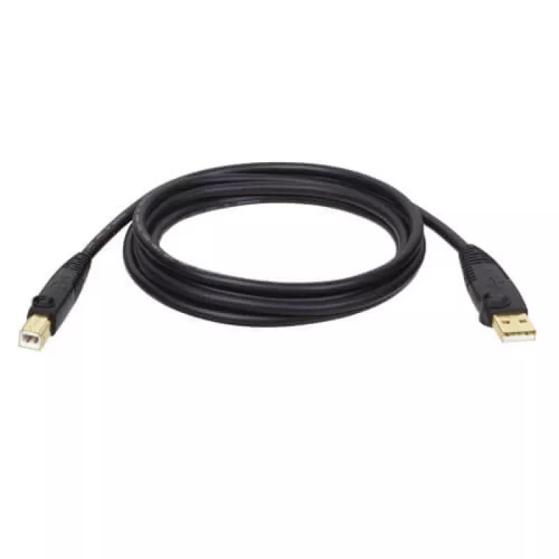 Tripp Eaton Tripp Lite Series cavo USB 2.0 A-B (M/M)