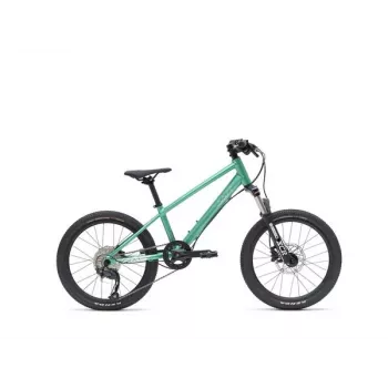 VAAST Y/1 mountain bike 20