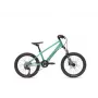 VAAST Y/1 mountain bike 20