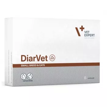 VetExpert Diarvet Small Breed and Cats 6 capsule