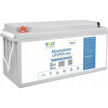 VOLT POLSKA Batteria ricaricabile LiFePO4 24V 120Ah 120A