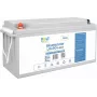 VOLT POLSKA Batteria ricaricabile LiFePO4 24V 120Ah 120A