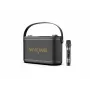 W-King H10S Altoparlante portatile wireless, 100W RMS, Bluetooth 5.0, IPX6, nero