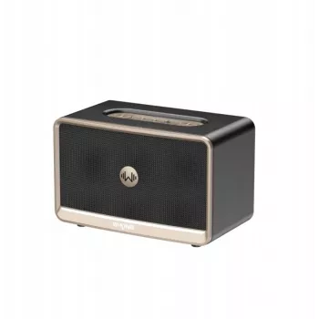 W-King H330 altoparlante Bluetooth portatile wireless 30W IPX6 nero
