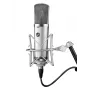 Warm Audio WA-67 Microfono a condensatore a valvole argento microfono da studio