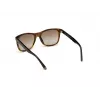 WEB EYEWEAR uomo WE0279-5652G Occhiali da sole Havana verde 56/19/145 mm