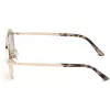 Web Eyewear WE0243-32G Occhiali da sole unisex Pilot montatura oro lente sfumata marrone UV400 58mm