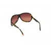 WEB EYEWEAR Occhiali da sole donna WE0290-6552F havana marrone rettangolari a gatto 65/12/115 mm