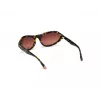 Occhiali da sole donna WEB EYEWEAR WE0288-6052F Havana grigio sfumato 60/18/125 mm