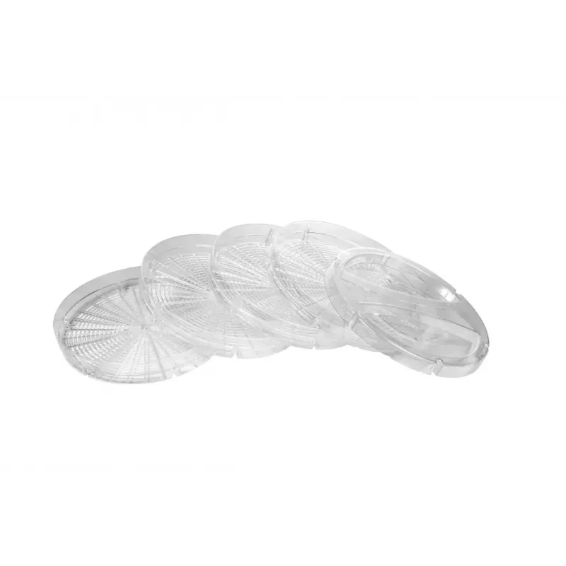 Essiccatore per alimenti Zelmer ZFD1005 520W con 5 vassoi trasparenti e controllo elettronico