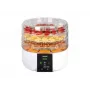 Essiccatore per alimenti Zelmer ZFD1005 520W con 5 vassoi trasparenti e controllo elettronico