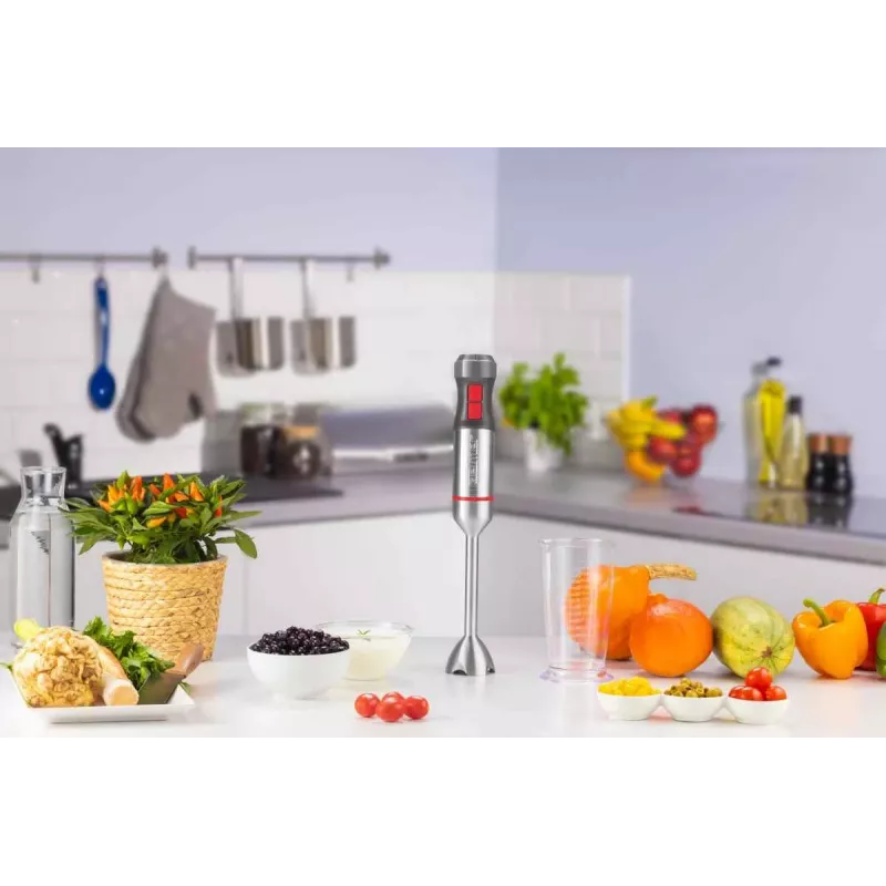 Frullatore a immersione Zelmer ZHB4650 Vario