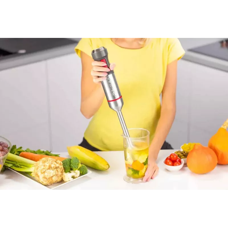 Frullatore a immersione Zelmer ZHB4650 Vario