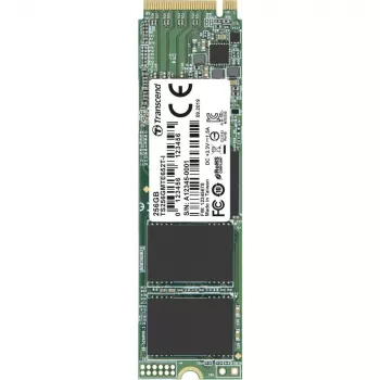 Unità a stato solido interna Transcend 256 GB M.2 PCI Express 3.1 NVMe