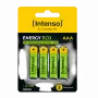 Batteria Intenso 7505214