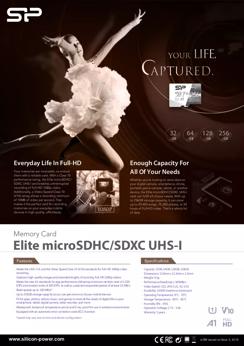 Brochure